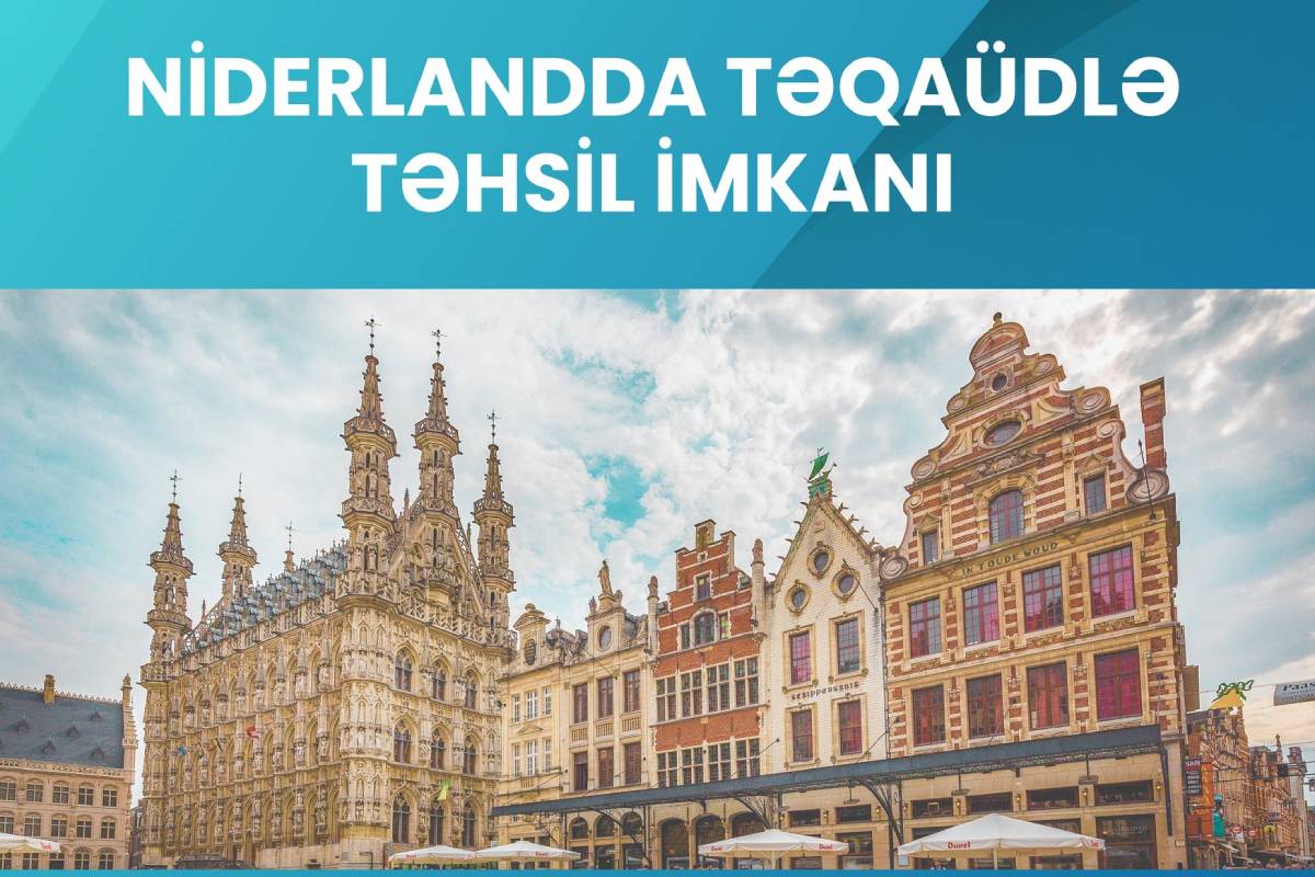 Niderland Krallığının Tio Biznes Məktəbi təqaüd proqramı elan edir