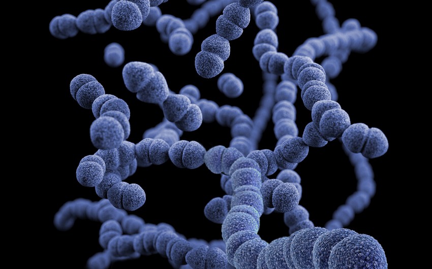 Alimlər salmonellaların antibiotiklərə qarşı müqavimətinin sirrini açıblar
