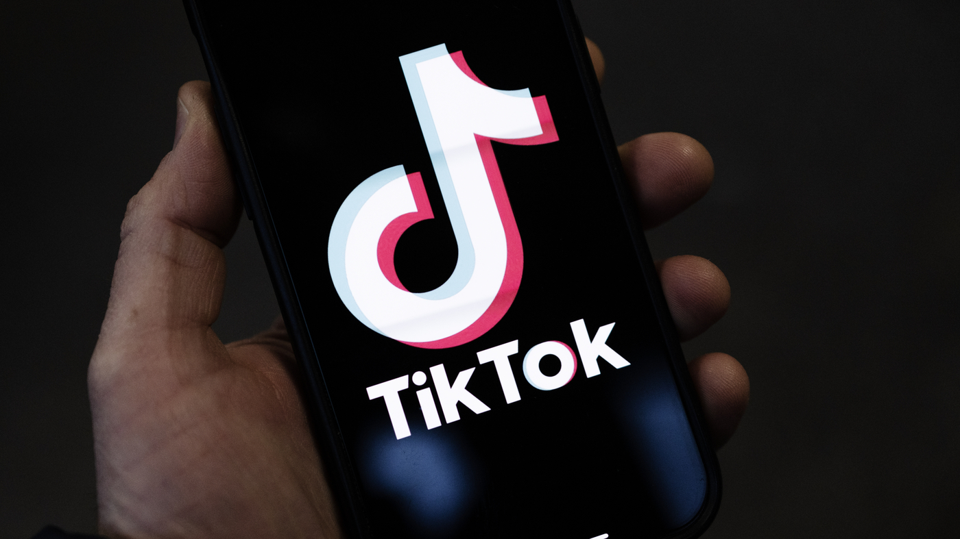 Azərbaycanda uşaqların TikTok-a girişi qadağan edilə bilər