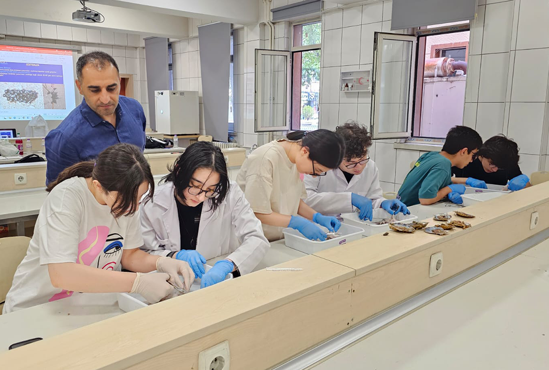 Azərbaycan biologiya komandası IBO 2025 üçün Ankarada praktiki hazırlıq keçib