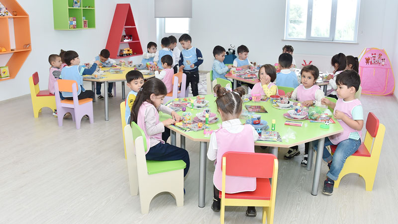 Bağçalarda təlim-tədris prosesinin əhəmiyyəti və təşkili