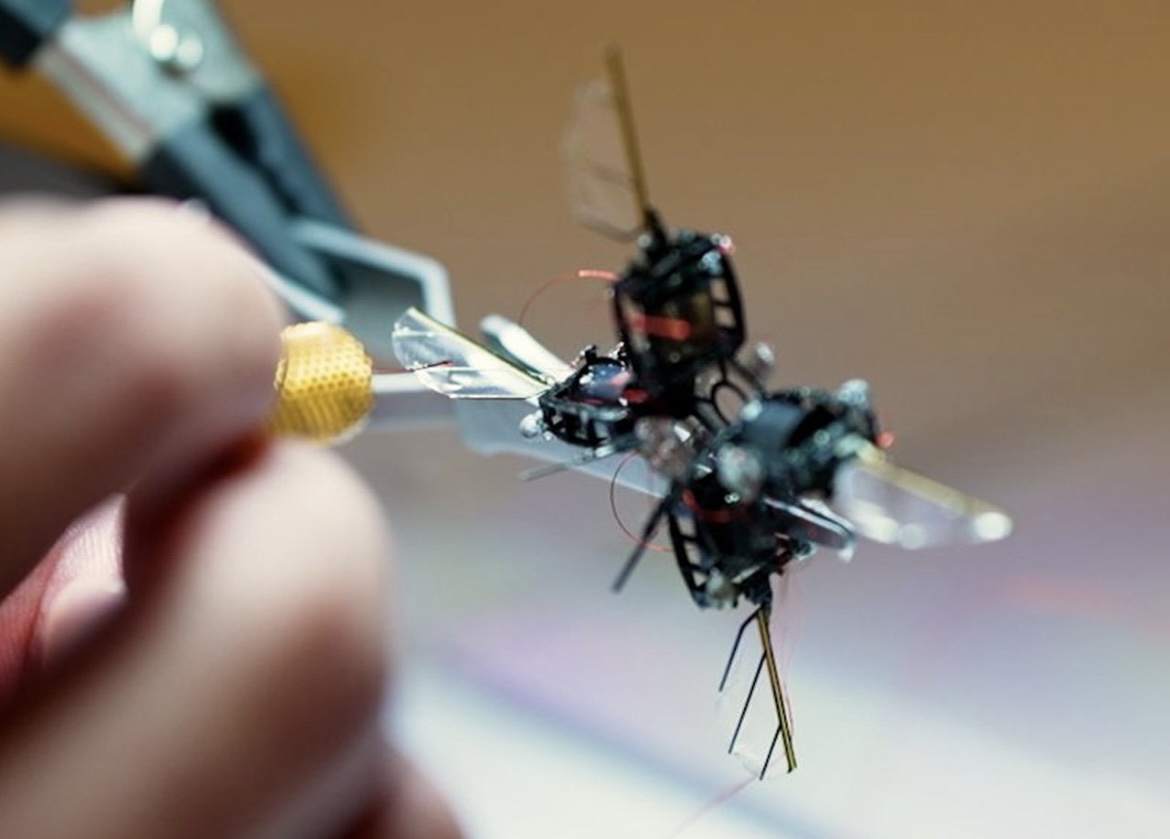 Mit-in mini robot arıları və çəyirtkiləri marsda kənd təsərrüfatını dəstəkləyəcək