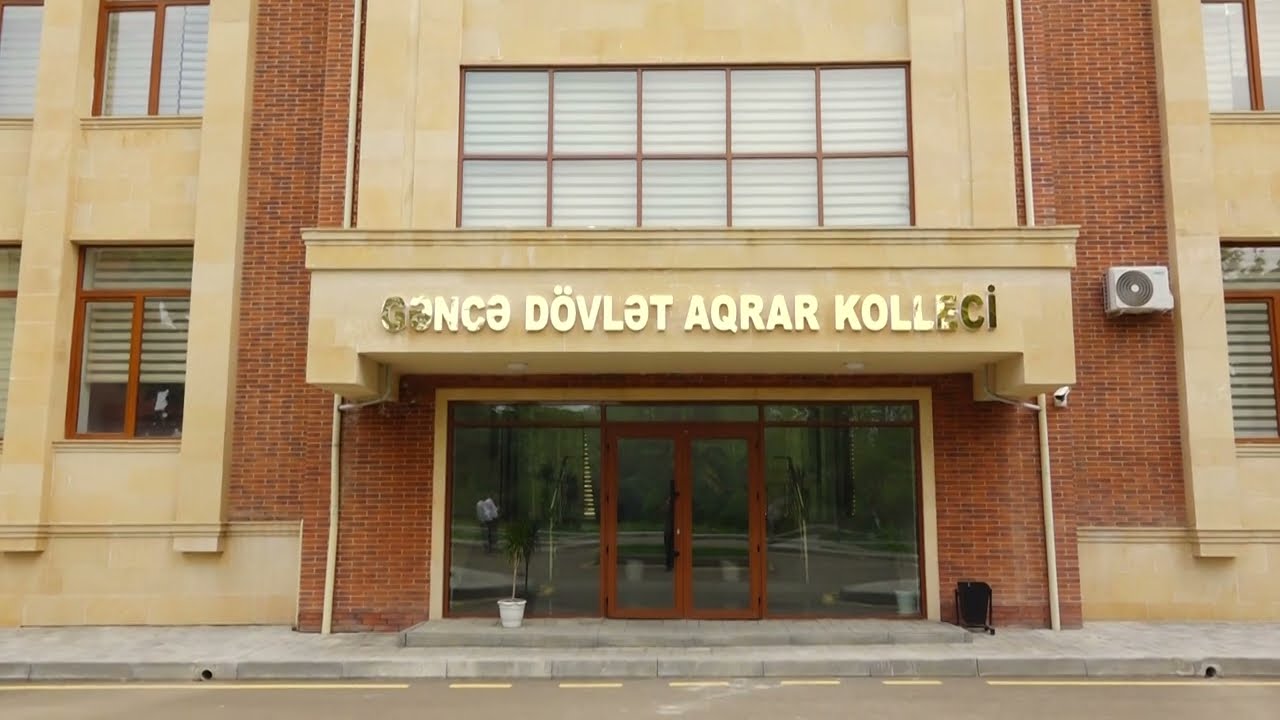 Plan yerləri tam doldu – Gəncə Dövlət Aqrar Kollecində uğurlu qəbul ili