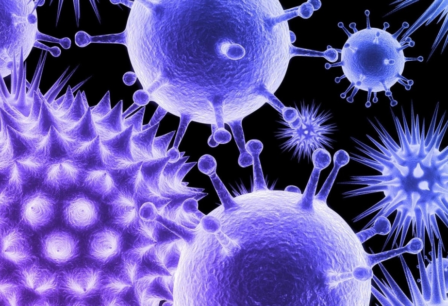 Virus infeksiyaları və antiviral terapiya