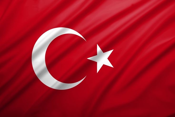 24 Noyabr Müəllimlər Günü üçün tədbirlər planı