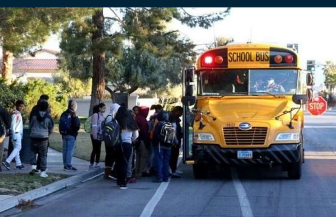 Məktəb avtobusları avtobus zolaqlarına daxil ola biləcəklər