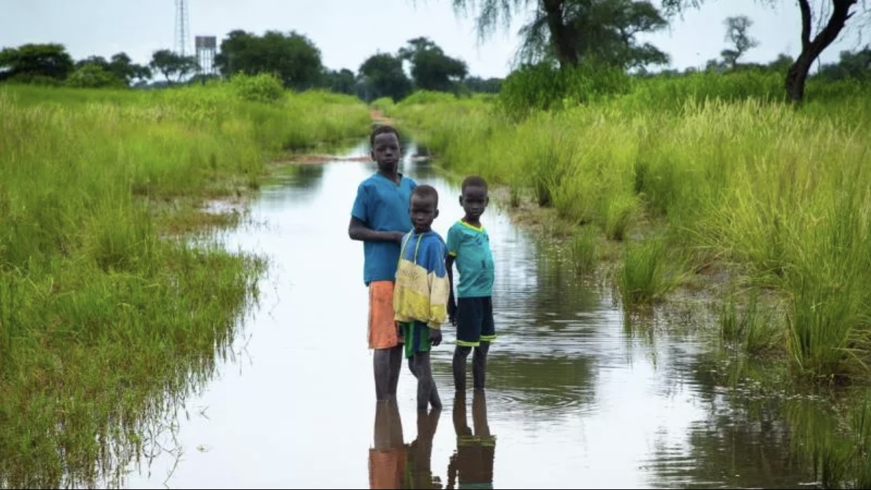 ABŞ universitetlərində beynəlxalq tələbə sayında azalma müşahidə olunur
