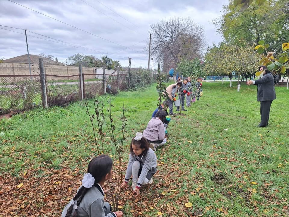 ‘’Yaşıl məktəb, sağlam gələcək” təşəbbüsü