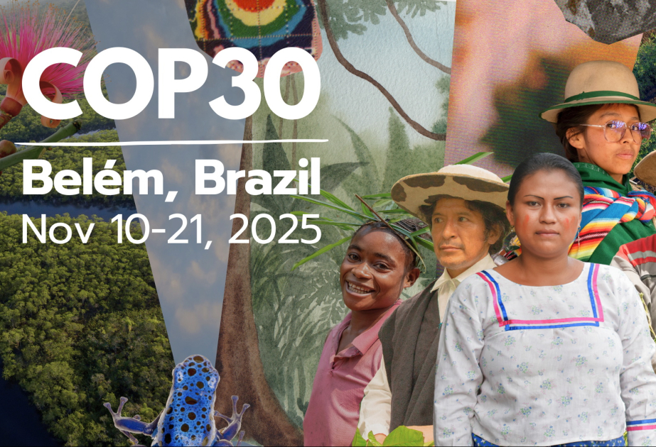 "The Guardian”: COP30 ərəfəsində ölkələrin milli öhdəlikləri ilə bağlı mübahisələr artır