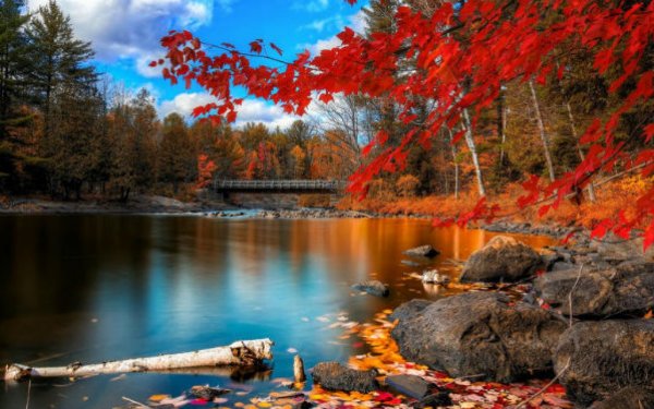 Noyabrda bəzi yerlərdə havanın temperaturu 0-a enəcək