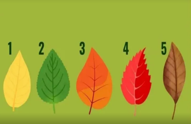 Hansı sahədə uğur qazanmaq üçün ən böyük şansınız var?