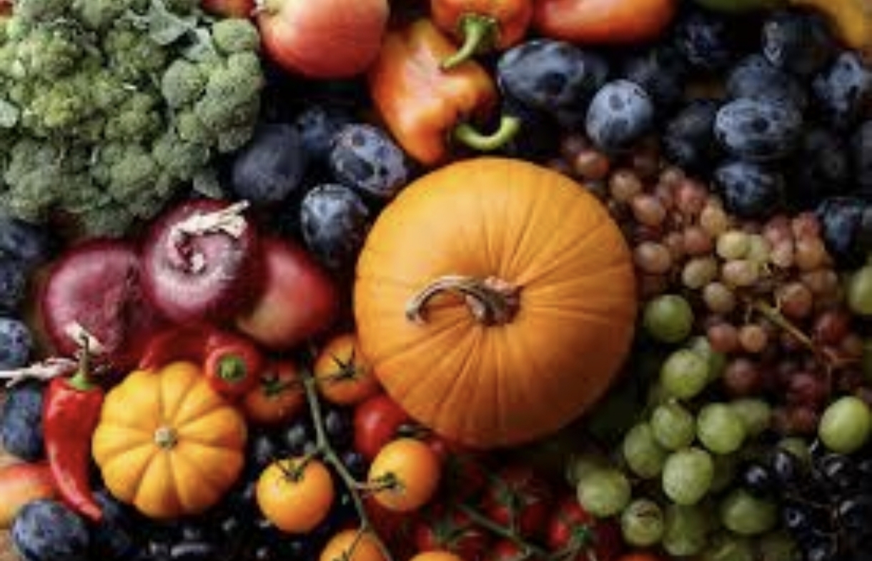 Payızda tələbə və şagirdlər üçün sağlam qidalanma tövsiyələri - ARAŞDIRMA