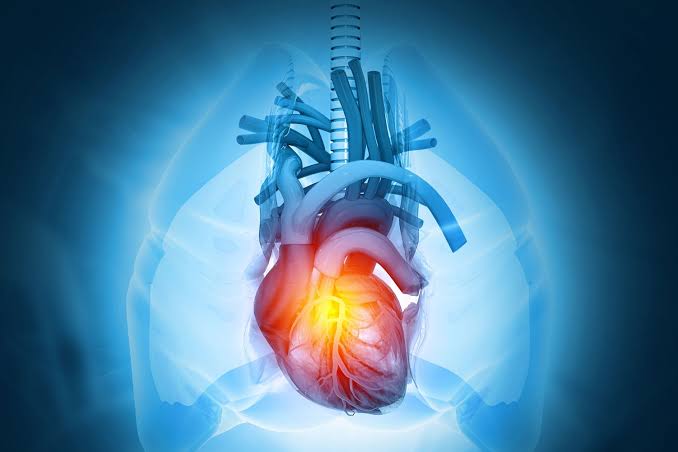 Alimlər ürəyin bərpasına kömək edən gen tapıblar