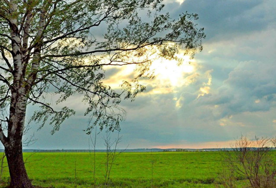 Bu günün hava PROQNOZU