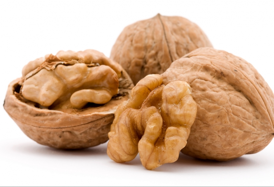 Qozun tələbələrin dərs oxumasına müsbət təsiri