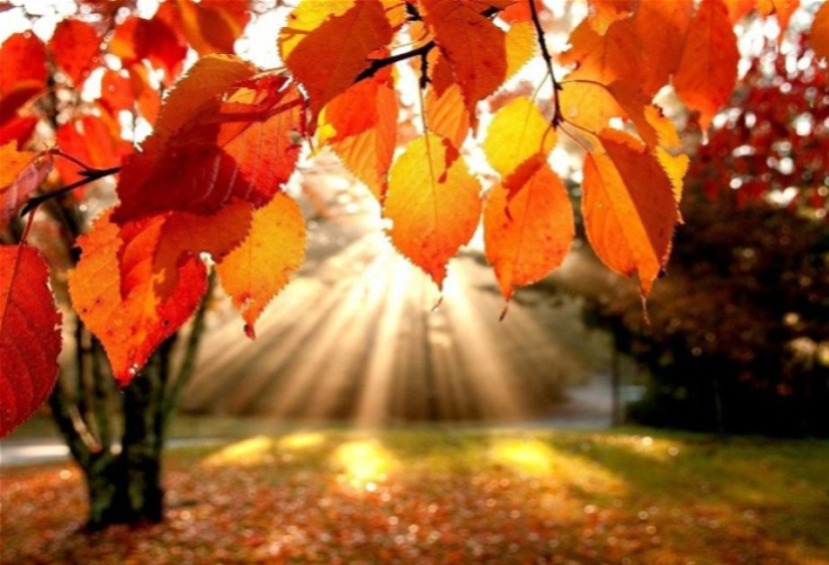 Sabah hava əsasən yağmursuz keçəcək