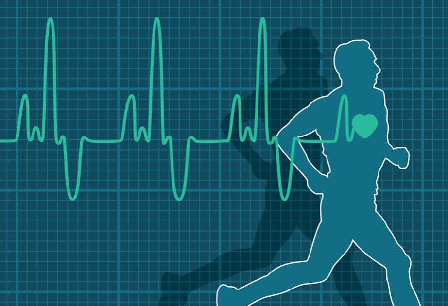 Fiziki fəaliyyətin ürəyə zərəri barədə mif təkzib edilib