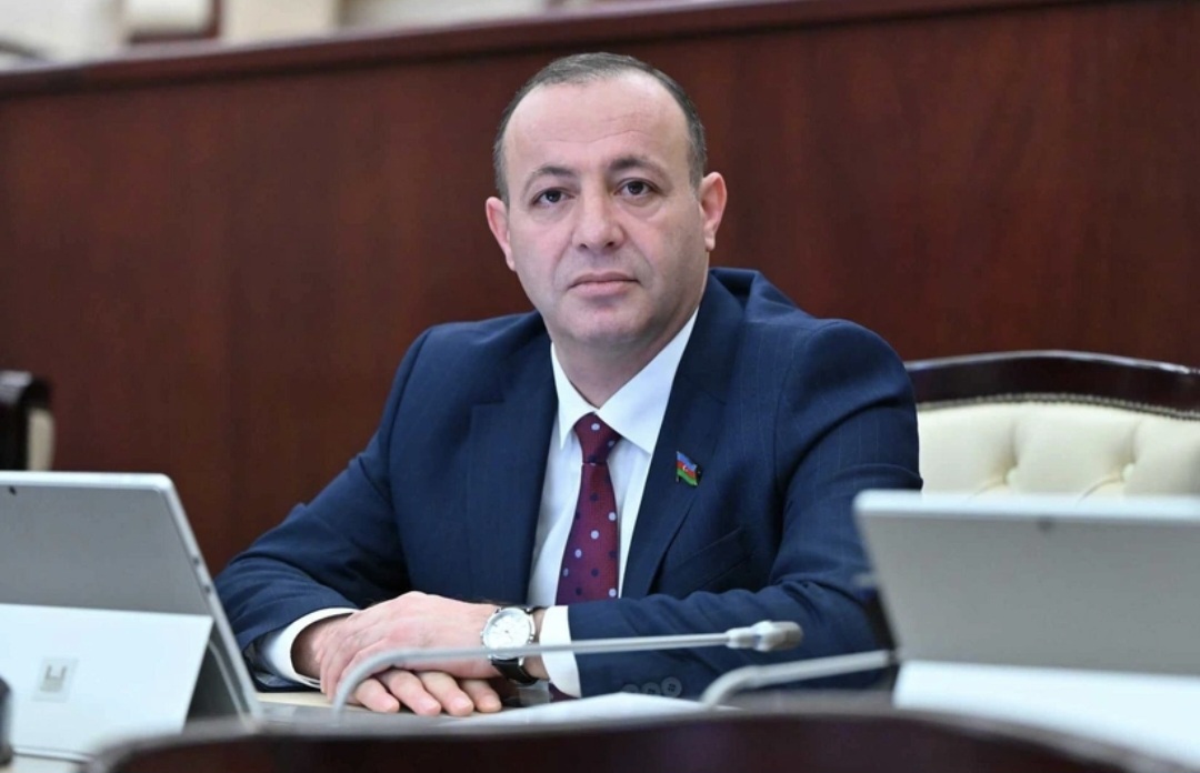 Vasif Qafarov: Universitetlərin bir qismi ştata müəllim götürməkdən yayınır