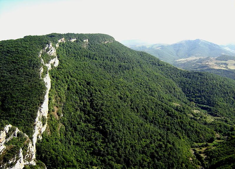 17 noyabr 1988 — Topxana meşəsinin qırılmasına etiraz : Milli oyanışın başlanğıcı