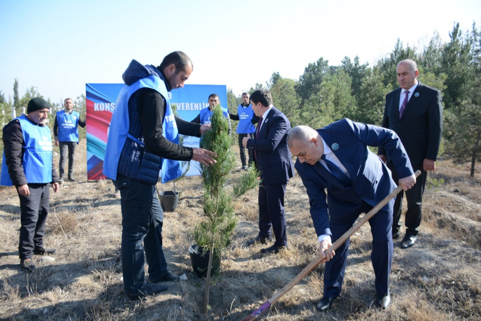 Tərtərdə YAP-ın təsis edilməsinin 33-cü ildönümü münasibətilə ağacəkmə aksiyası keçirilib