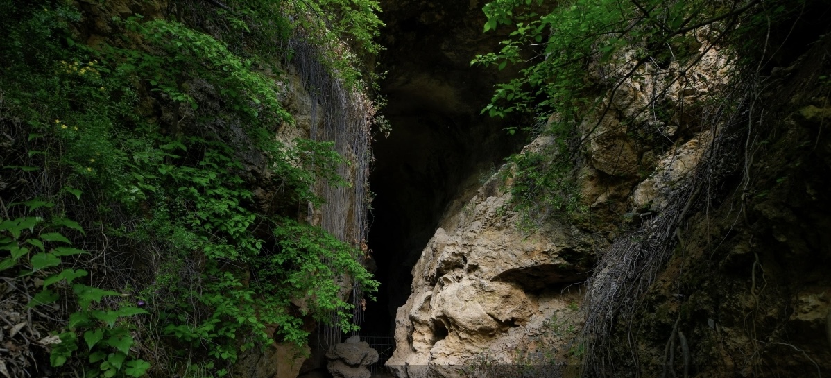 Azıx və Tağlar abidələrində bir neçə ölkədən olan ekspedisiyalar fəaliyyət göstərirlər