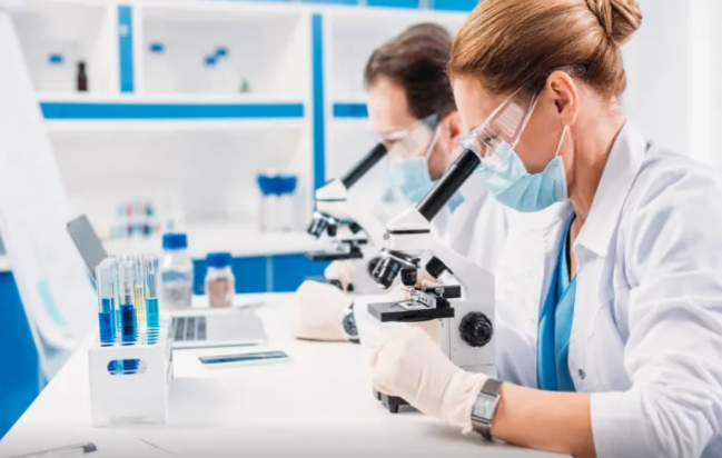 Dünyada ilk yaranan heyvan hansı olub? - Alimlər cavabı tapdılar