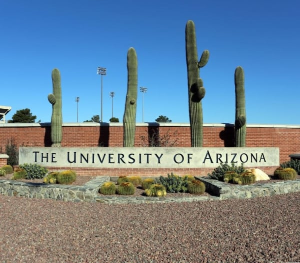 Arizona State University Londonda yeni kampus açır – Britaniya universitetləri maliyyə təzyiqləri ilə üzləşir