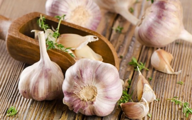 Sarımsağın faydaları bunlardır