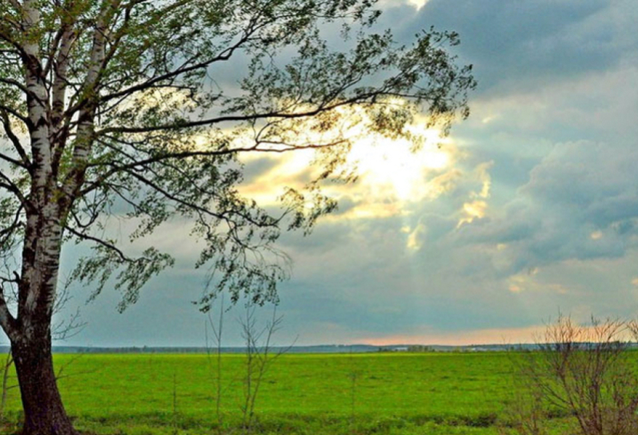 Azərbaycanda sabaha gözlənilən hava proqnozu açıqlanıb