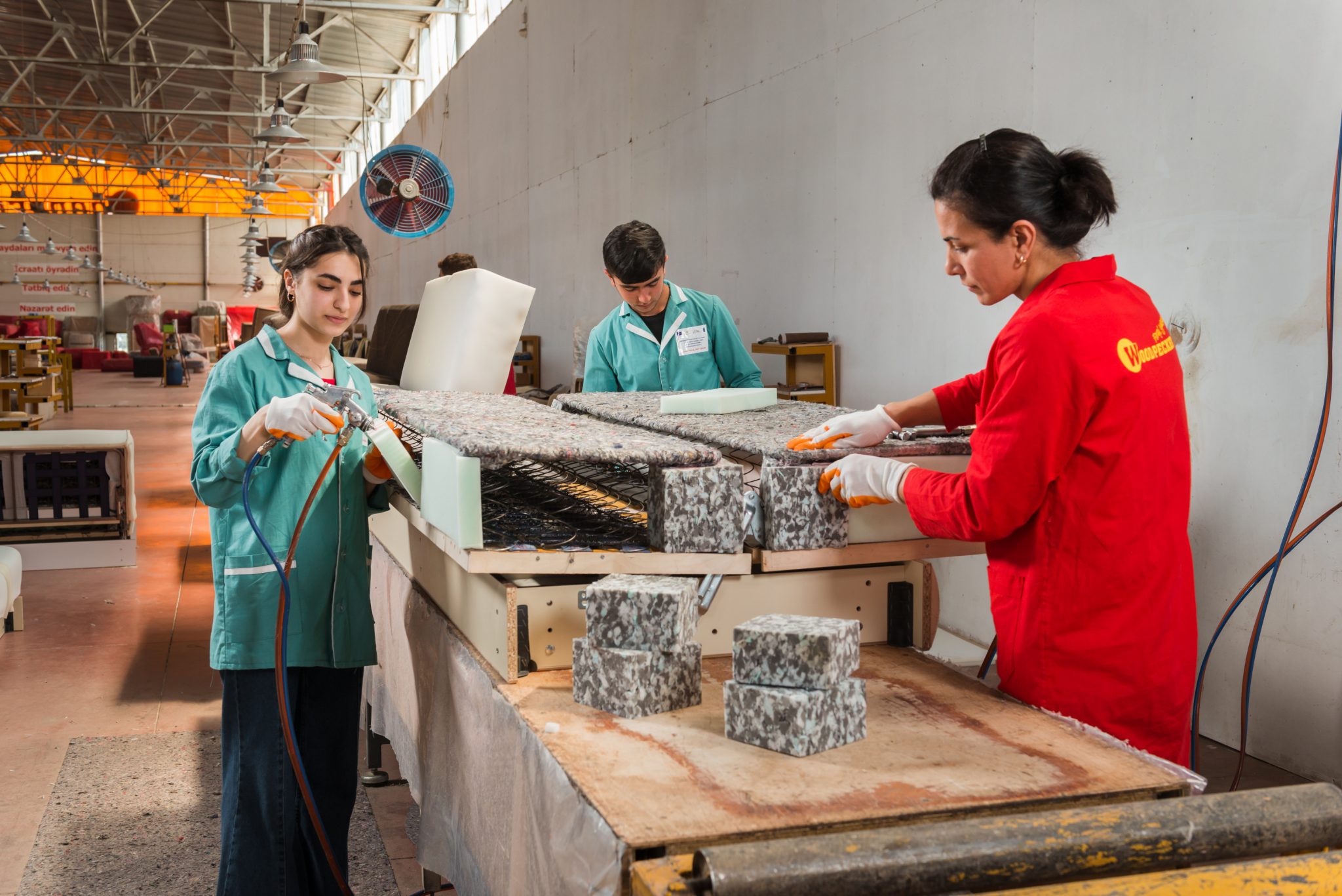 Dual təhsil üzrə hüquqi baza yaradılacaq