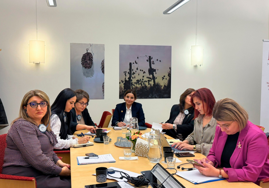 Məişət zorakılığının qarşısının alınması sahəsində İsveçin təcrübəsi öyrənilib