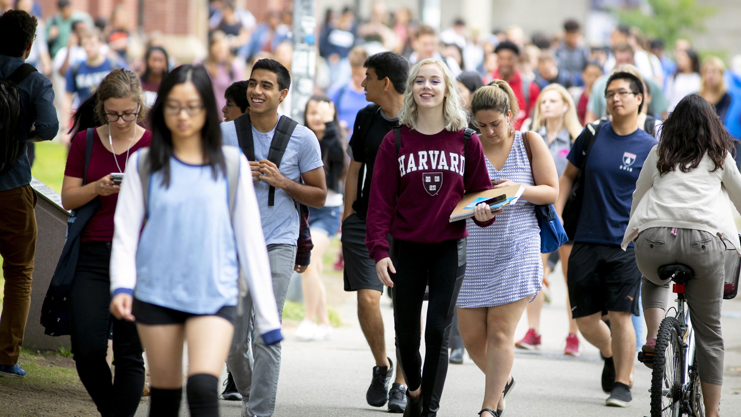 Harvard tələbəsinin antisemitizm iddiası məhkəmədən geri döndü