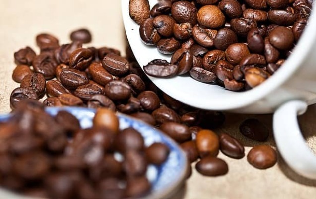 Qəhvə yuxunun keyfiyyətini artırır