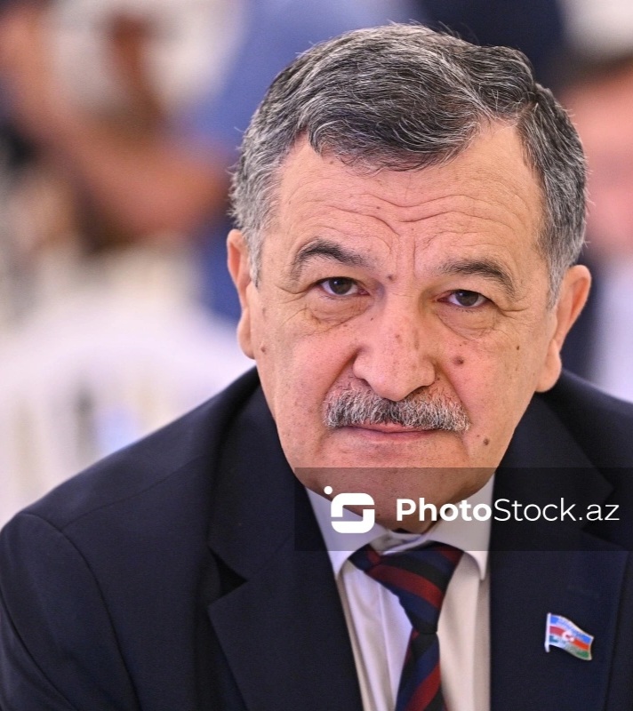 Deputat: "Mədəniyyətimizi küçə səviyyəsinə endirməyə icazə verməməliyik"