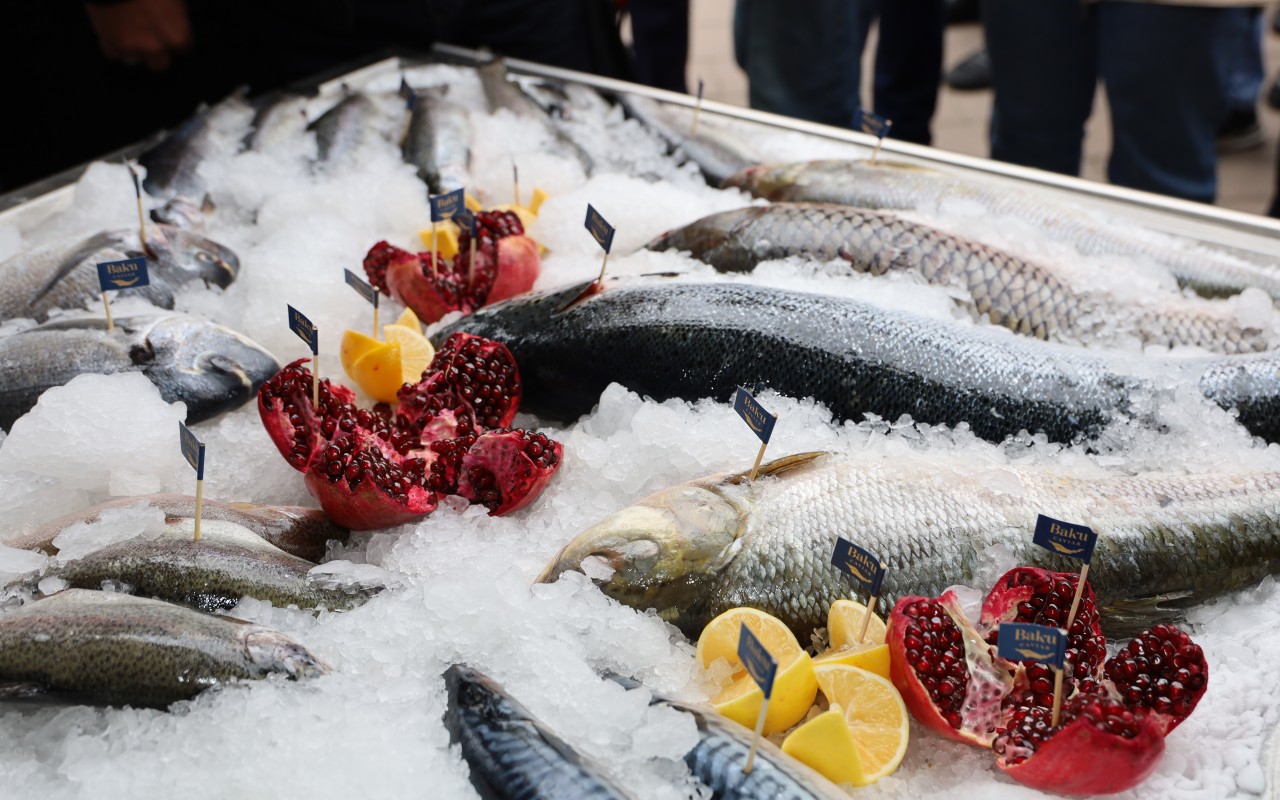 Neftçalada “I Balıq” Festivalı keçirilib