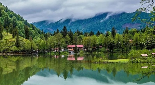 Yeni milli park yaradılır - Bu əraziləri əhatə edəcək