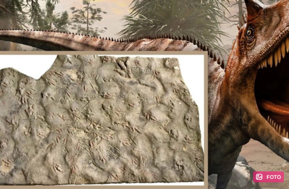 Çində 200 milyon illik dinozavr izləri aşkarlandı