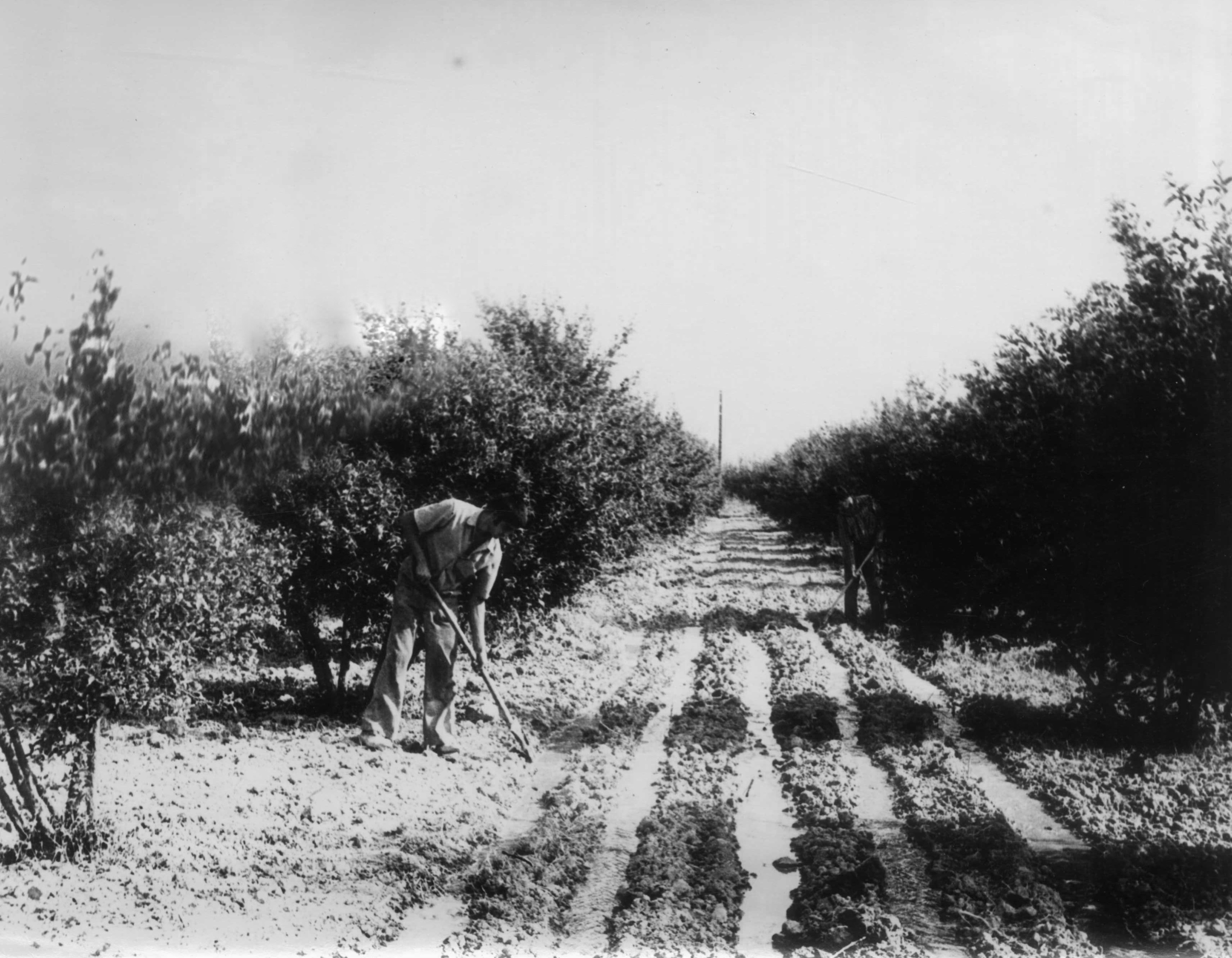 Keçmişin təhsili və informasiya həyatı: Gülbadam Cümşüdovanın xatirələri