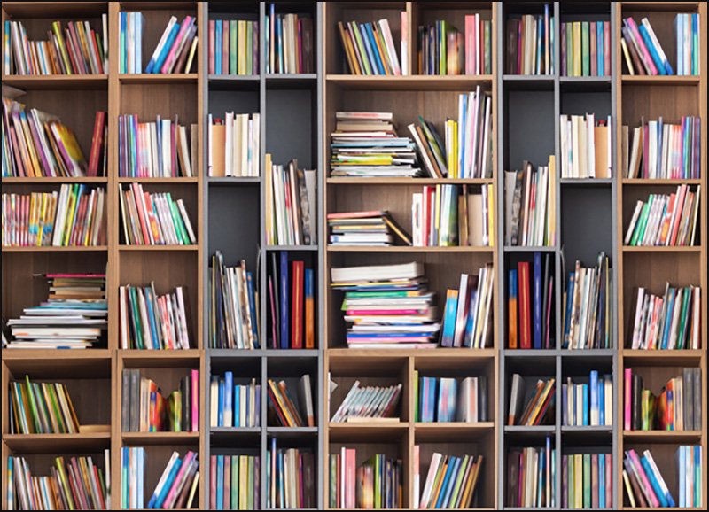 Müasir şagirdlər artıq bütöv kitab oxumurlar 