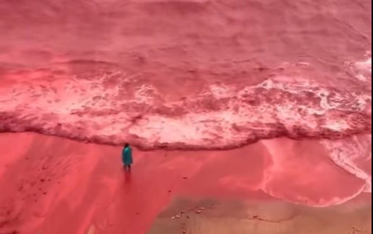 Güclü yağışdan sonra dəniz qırmızıya boyandı
