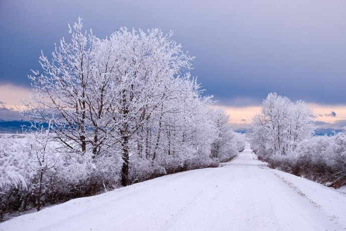 Qış fəsli Azərbaycana daxil oldu – ilin ən uzun gecəsi yaşanır