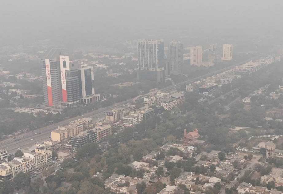 Almaniyaya 141 nəfər Əfqanıstan vətəndaşı gətirilib