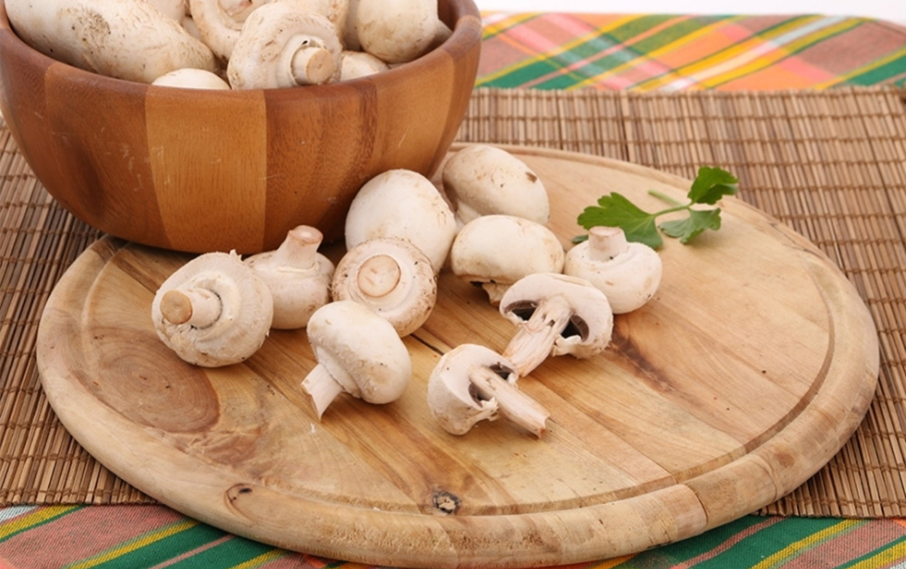 Zərərli olan hər şeyi süngər kimi özünə çəkir