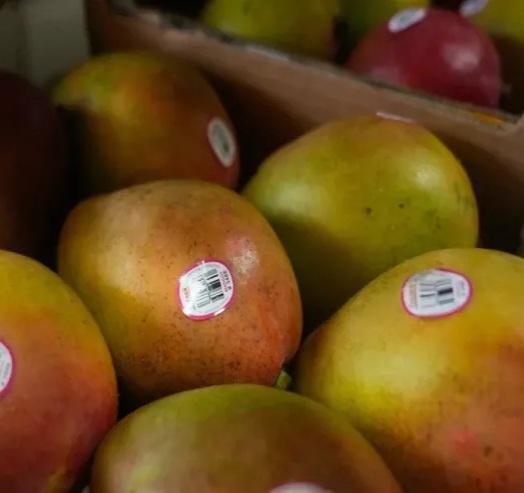 Bu meyvələr qaraciyəri alkoqoldan da pis məhv edir