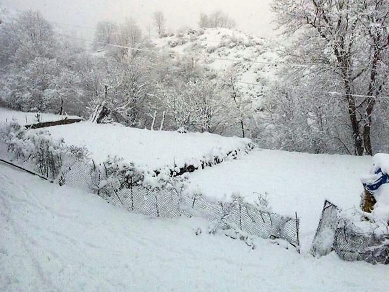 Naxçıvana 35 santimetr qar yağıb