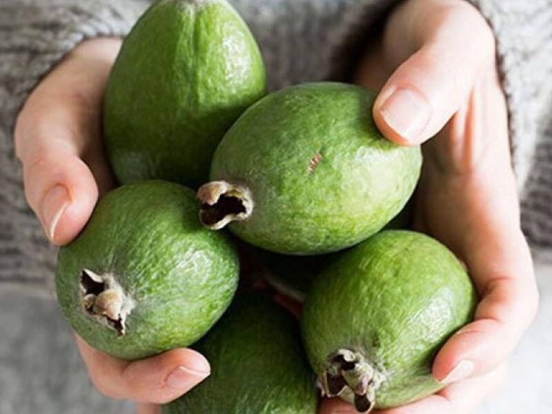 Yodla zəngin feyxoa möcüzəsi - Zobun, prostatın dərmandır