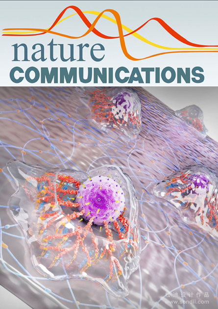 Azərbaycanlı tədqiqatçıların insan genomu ilə bağlı elmi işi “Nature Communications” jurnalında dərc olunub - FOTO