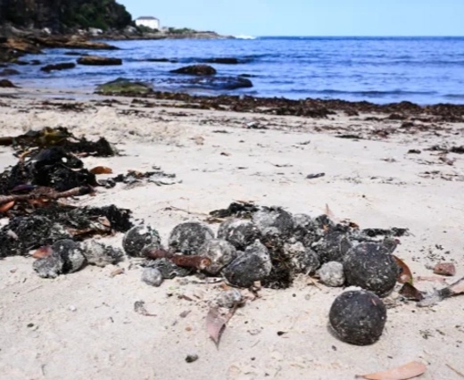 Yer kürəsinin ən böyük çay deltaları dayazlaşır
