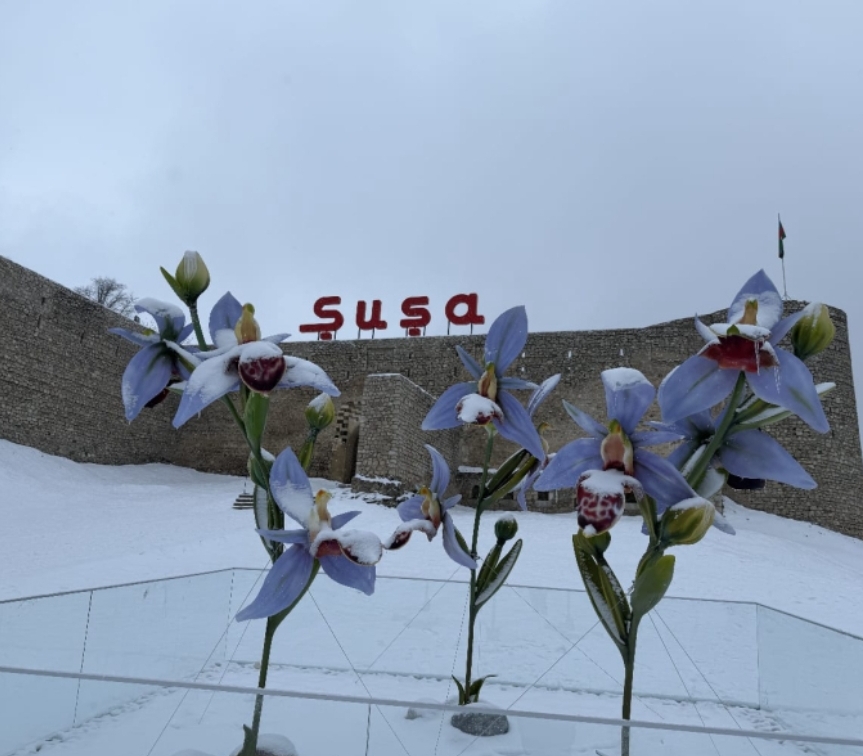 Dağlar gözəli Şuşa yenidən ağ örpəyə bürünüb