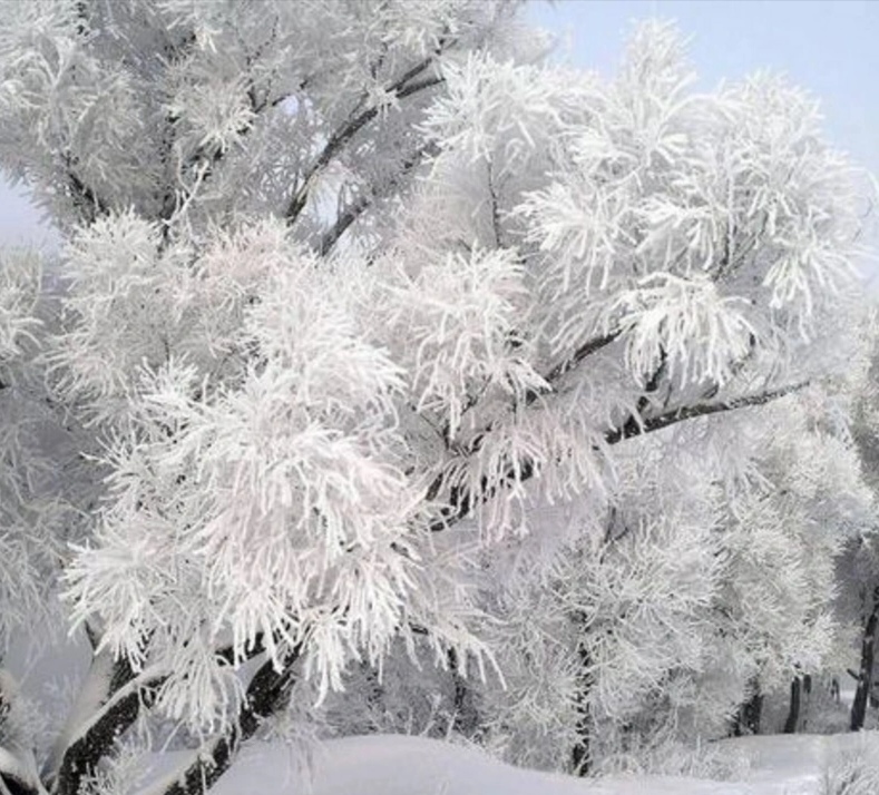 Sabah 22 dərəcə şaxta olacaq - 22.01.2026